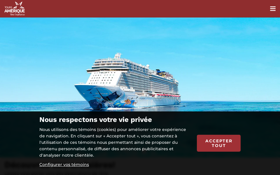 toursamerique.com/?poltours screen capture