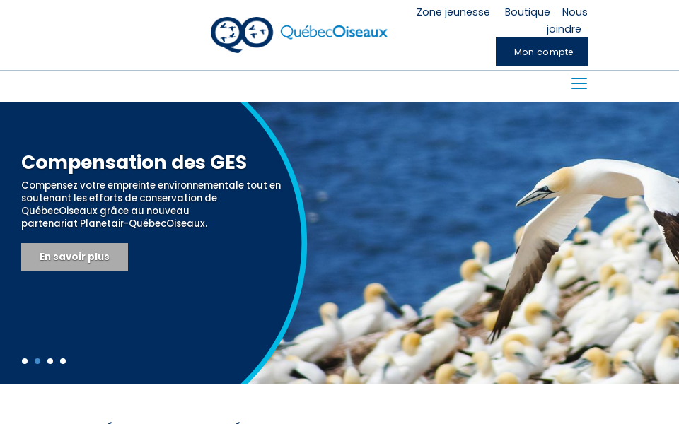www.quebecoiseaux.org/ screen capture