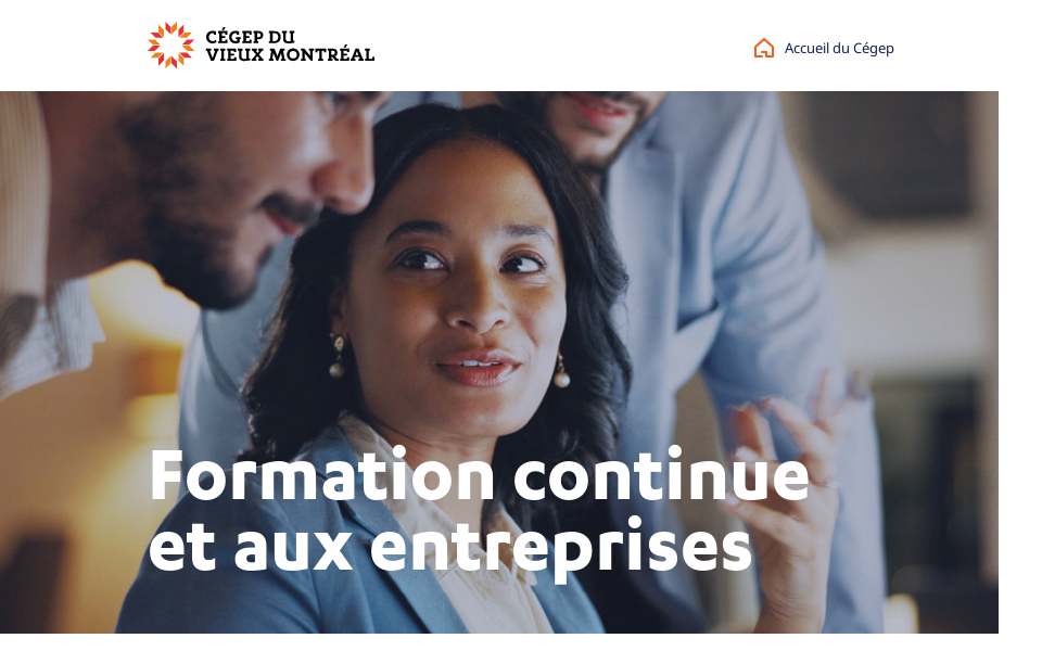 www.cvm.qc.ca/minisite/formation-continue/ screen capture