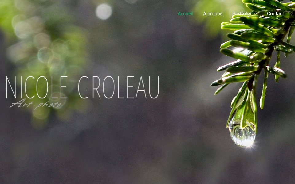 nicolegroleau.com/ screen capture