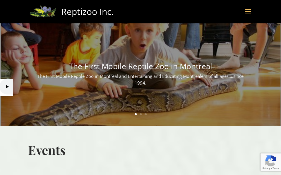 reptizoo.com/ screen capture