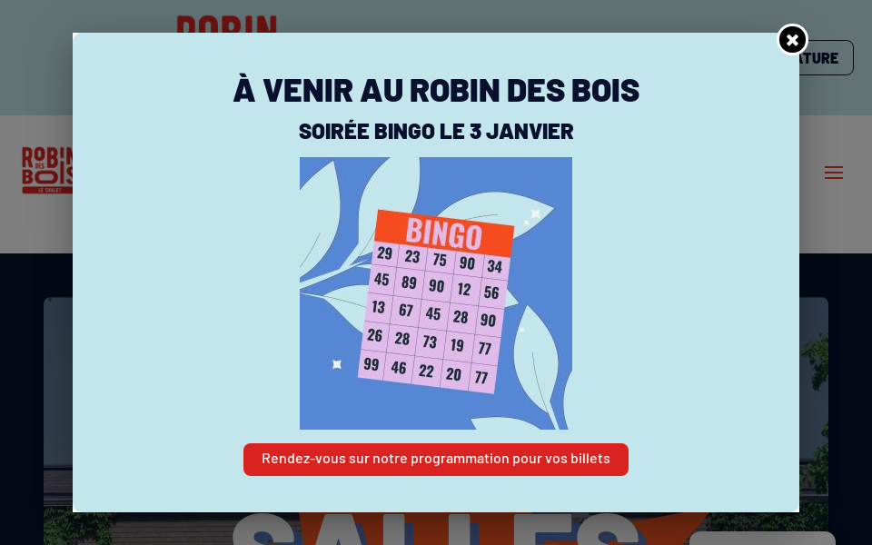 robindesbois.ca/ screen capture