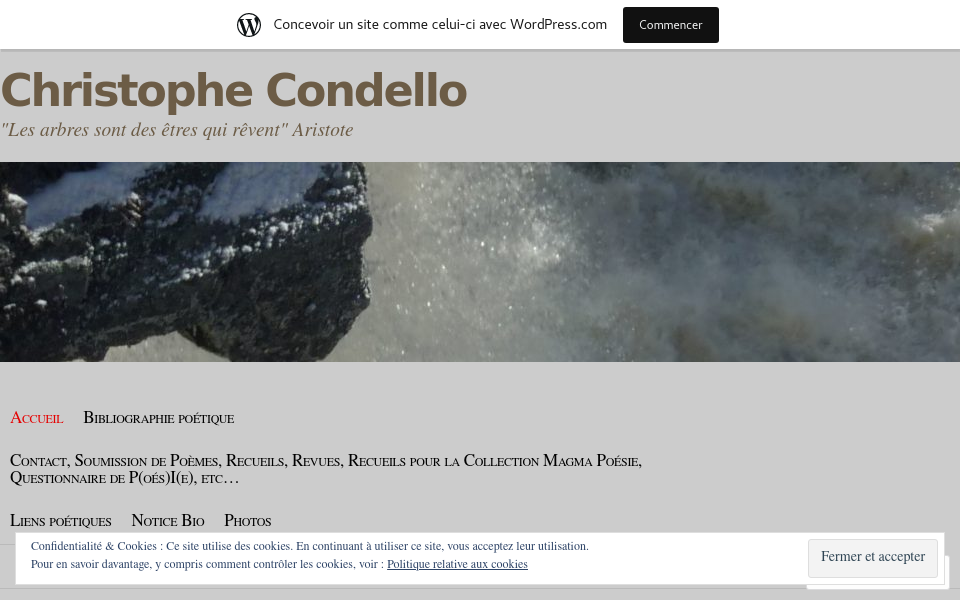 christophecondello.wordpress.com/ screen capture