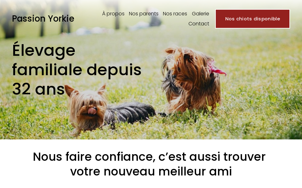 www.passion-yorkie.com/ screen capture