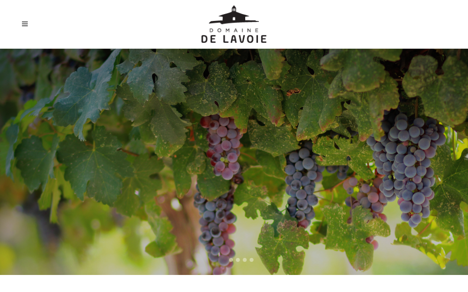 de-lavoie.com/ screen capture