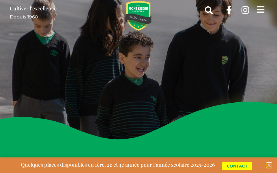 www.ecolemontessorimontreal.com/ screen capture