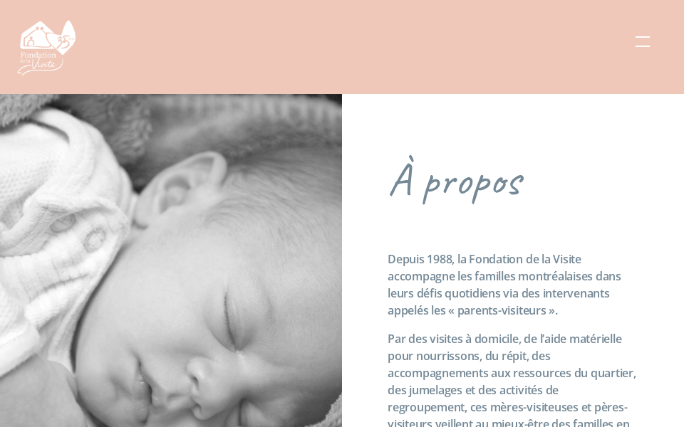 delavisite.org/ screen capture