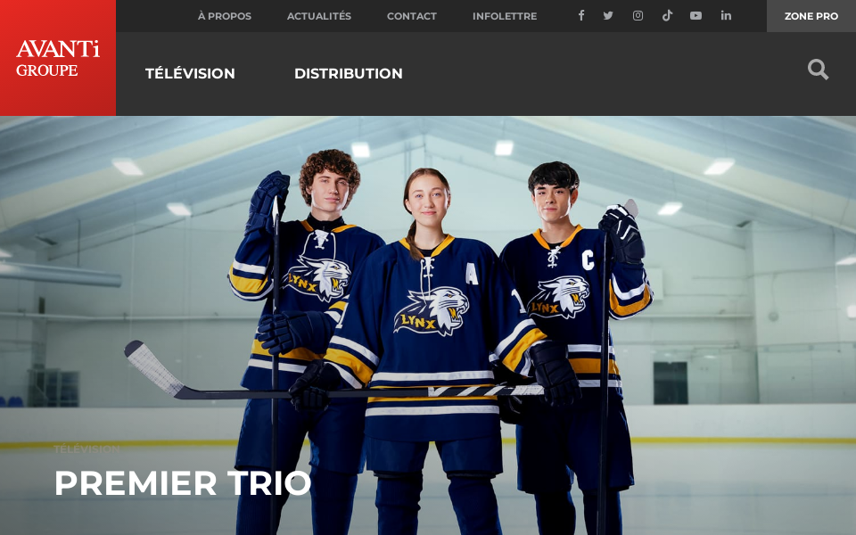 avantigroupe.com/ screen capture