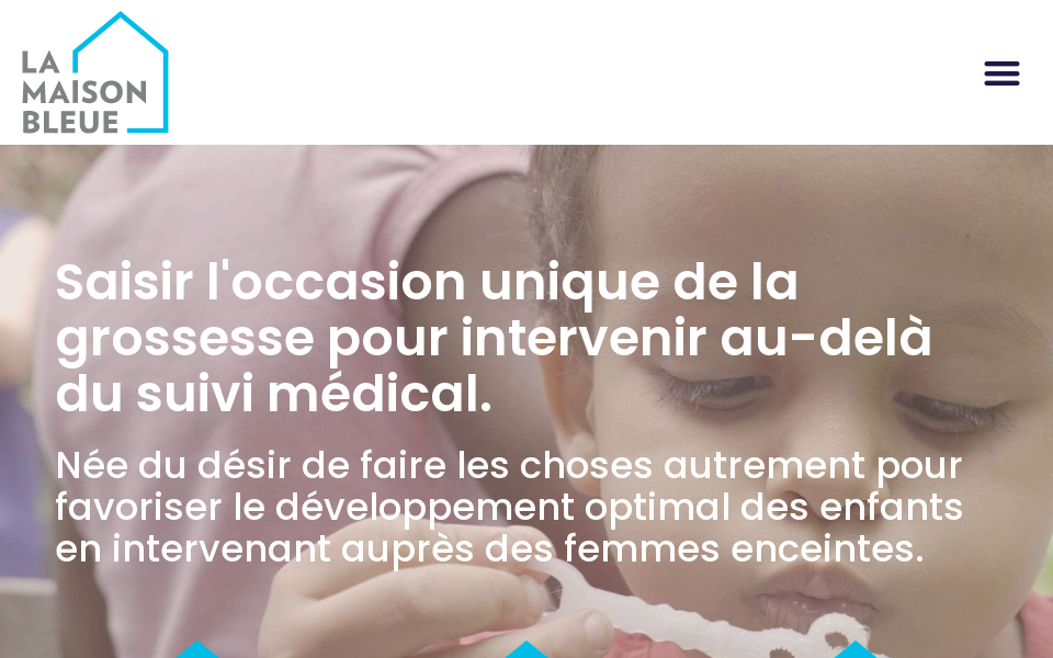 maisonbleue.info/ screen capture