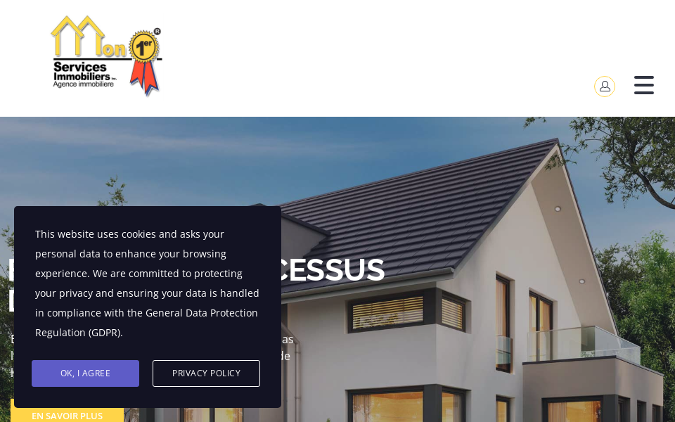 mon1er.com/ screen capture