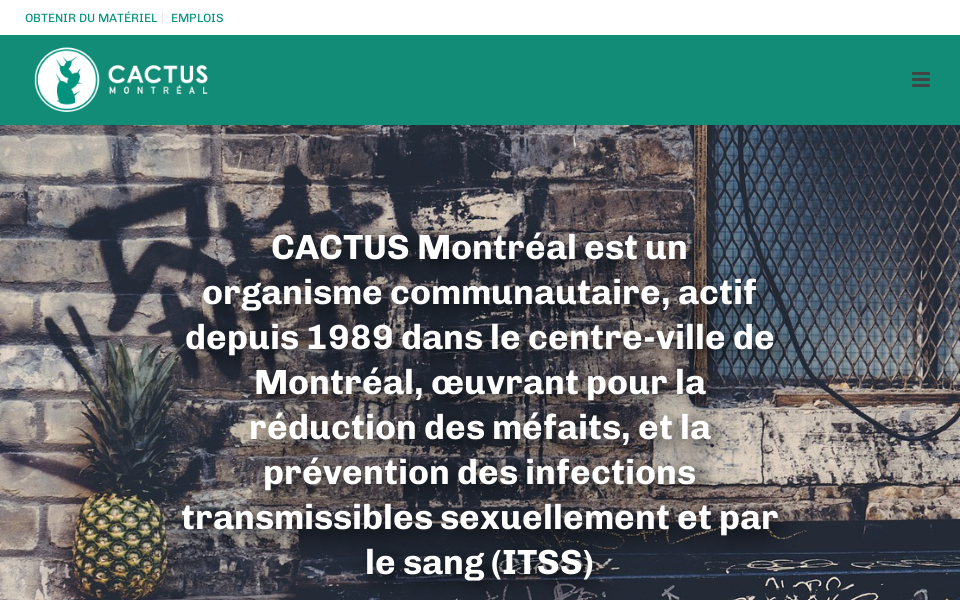 cactusmontreal.org/ screen capture