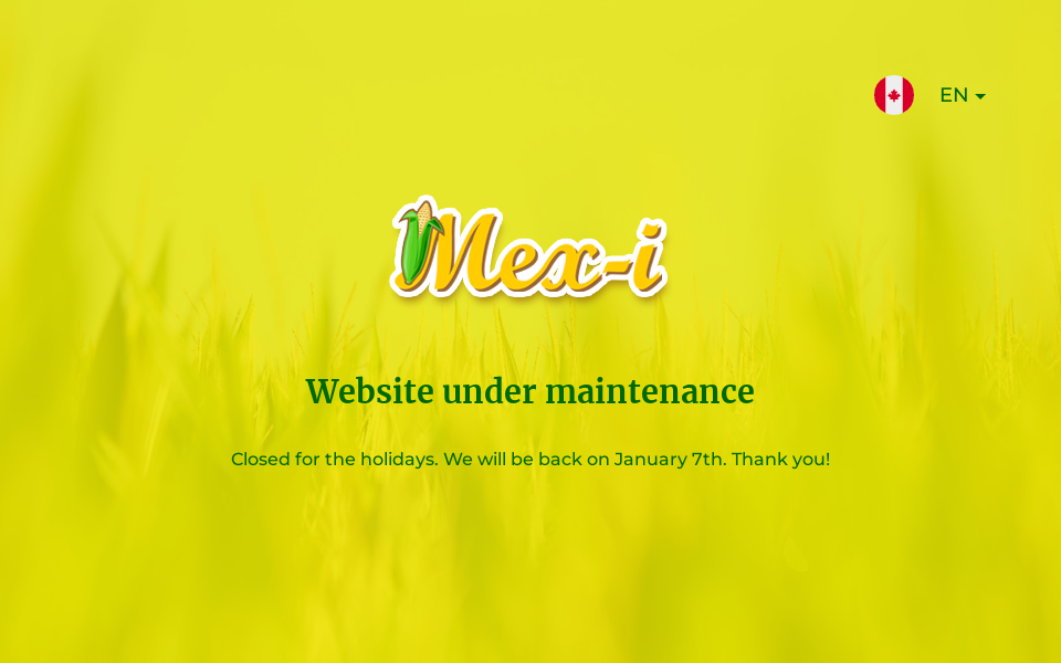 mex-i.com/ screen capture