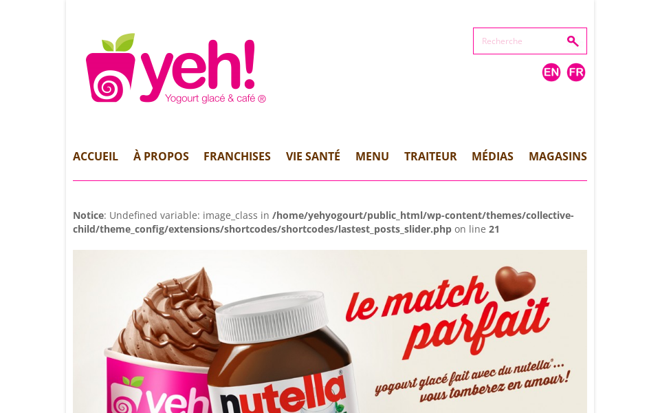 yehyogourt.com/ screen capture