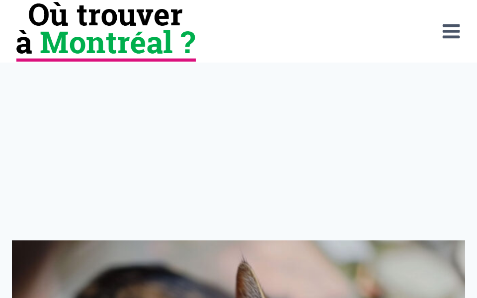ou-trouver-a-montreal.ca screen capture