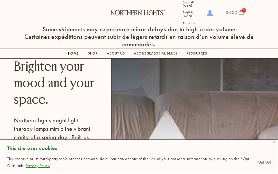 northernlighttechnologies.com/ screen capture