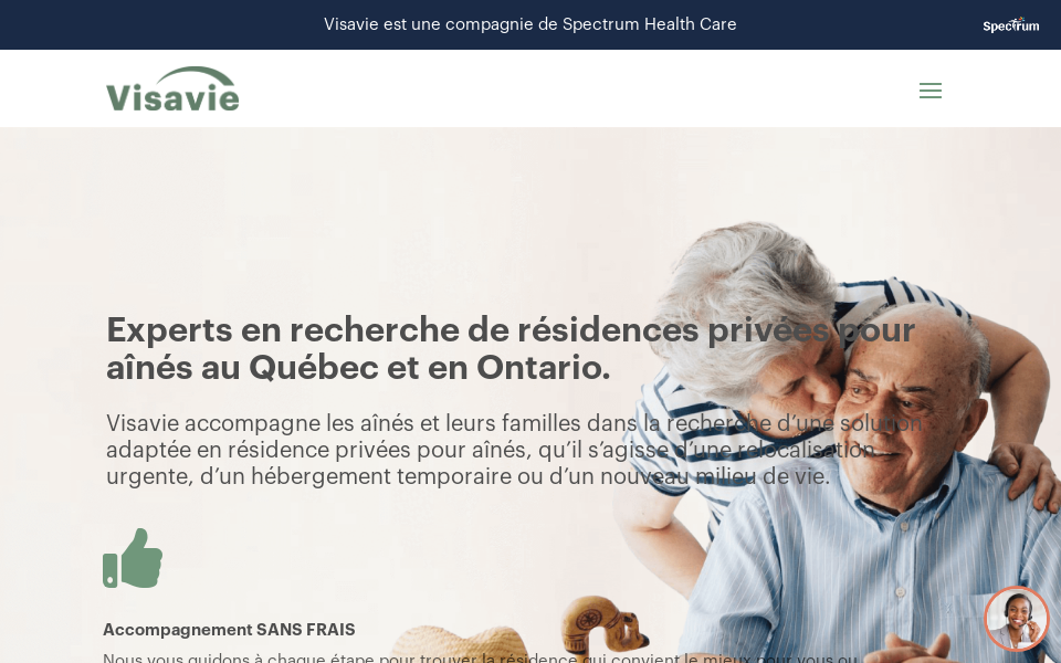 visavie.com/ screen capture