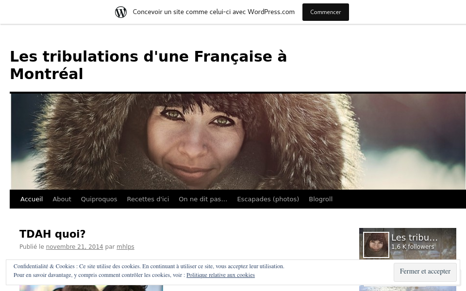 mhlps.wordpress.com/ screen capture