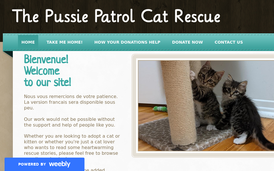 www.pussiepatrolcatrescue.com/ screen capture