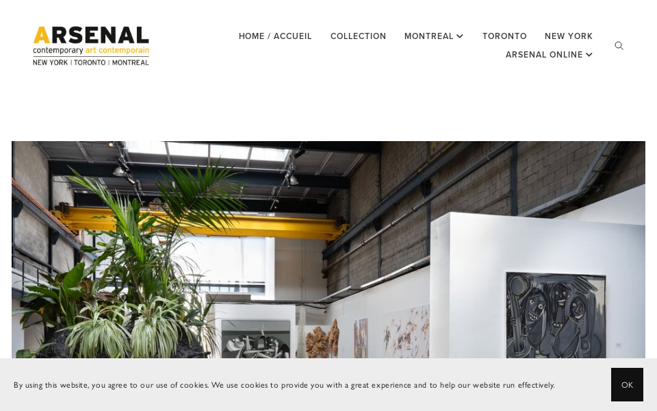 www.arsenalcontemporary.com/ screen capture