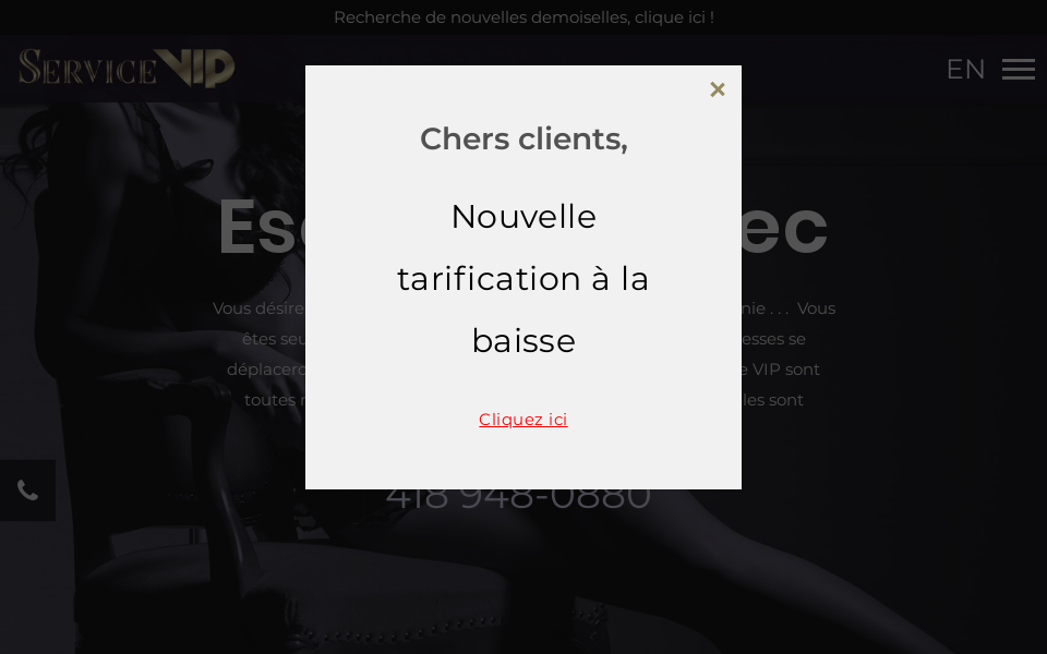 quebec-escort.com screen capture