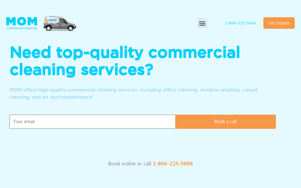 momcleaning.com screen capture