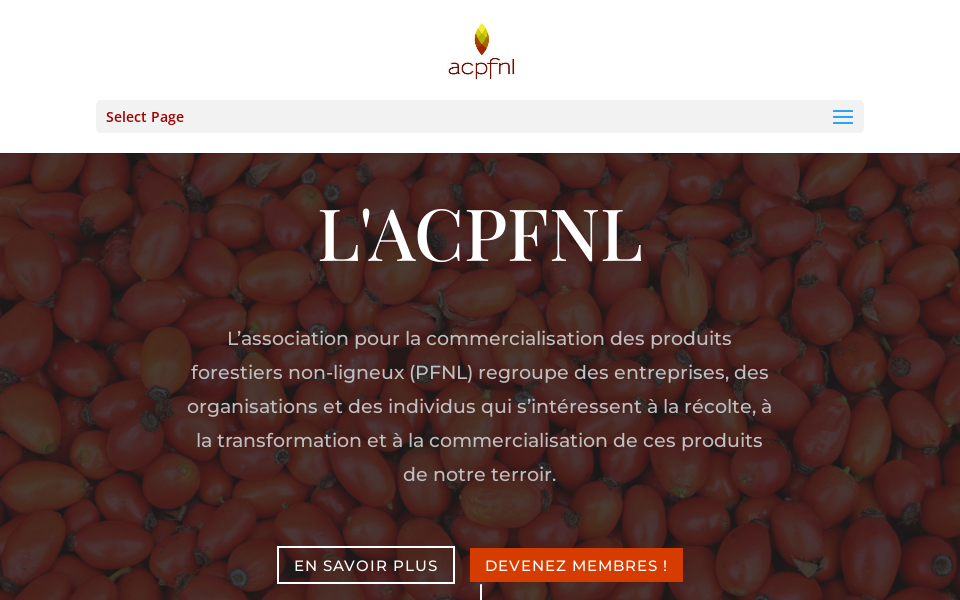 acpfnl.ca/ screen capture