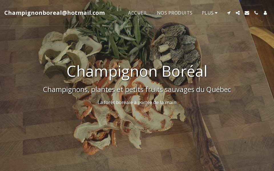 www.champignonboreal.com/ screen capture