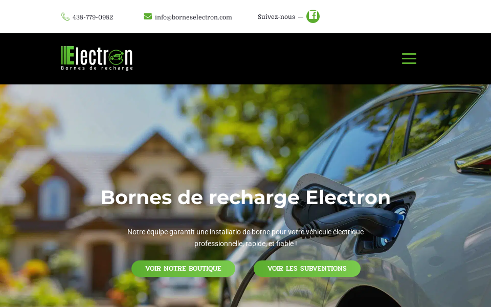 borneselectron.com/ screen capture