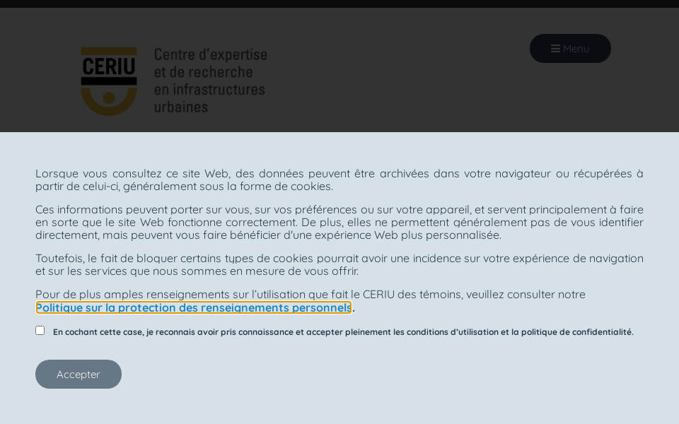 ceriu.qc.ca/ screen capture