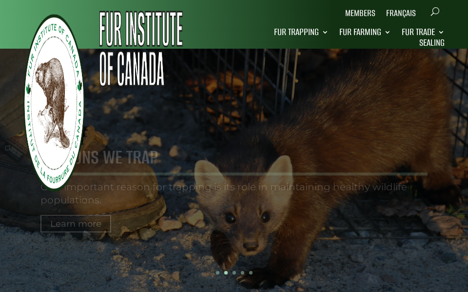 fur.ca/ screen capture