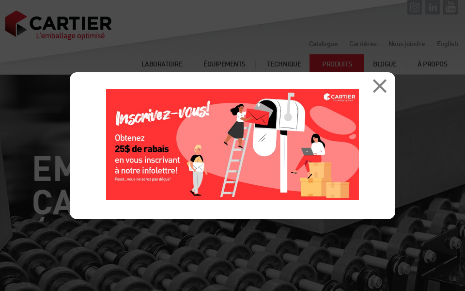 www.emballagecartier.com/ screen capture