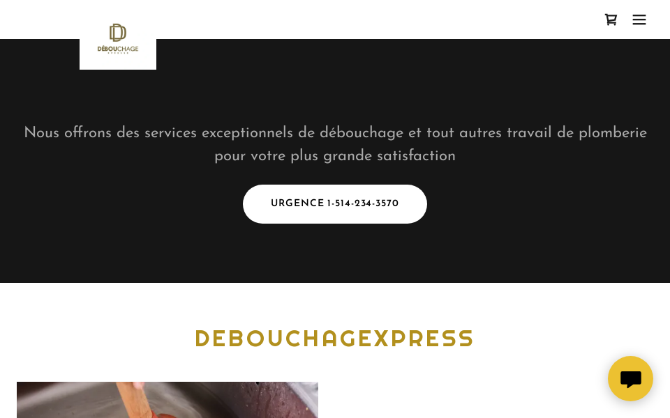 debouchagexpress.com/ screen capture