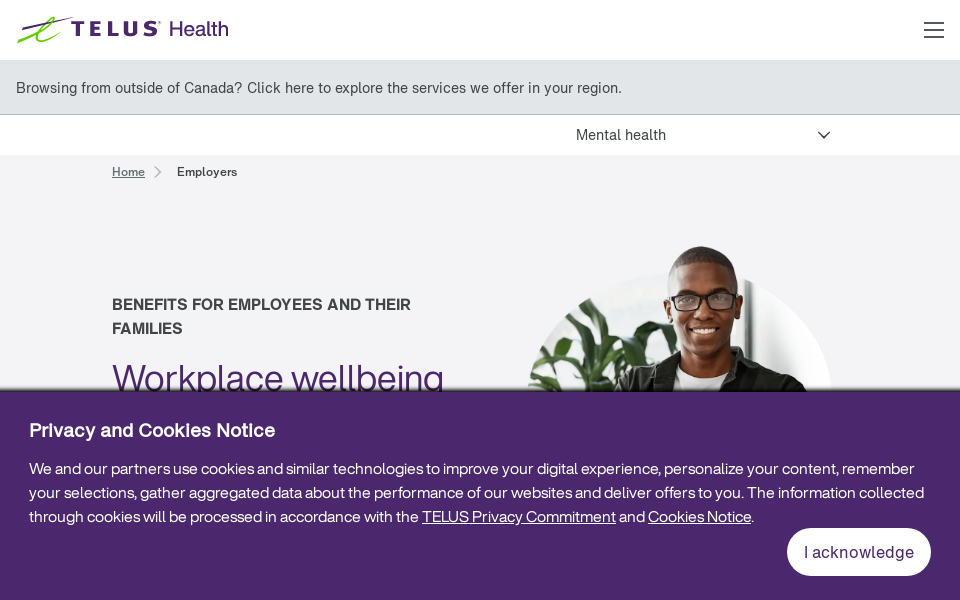 morneaushepell.com screen capture